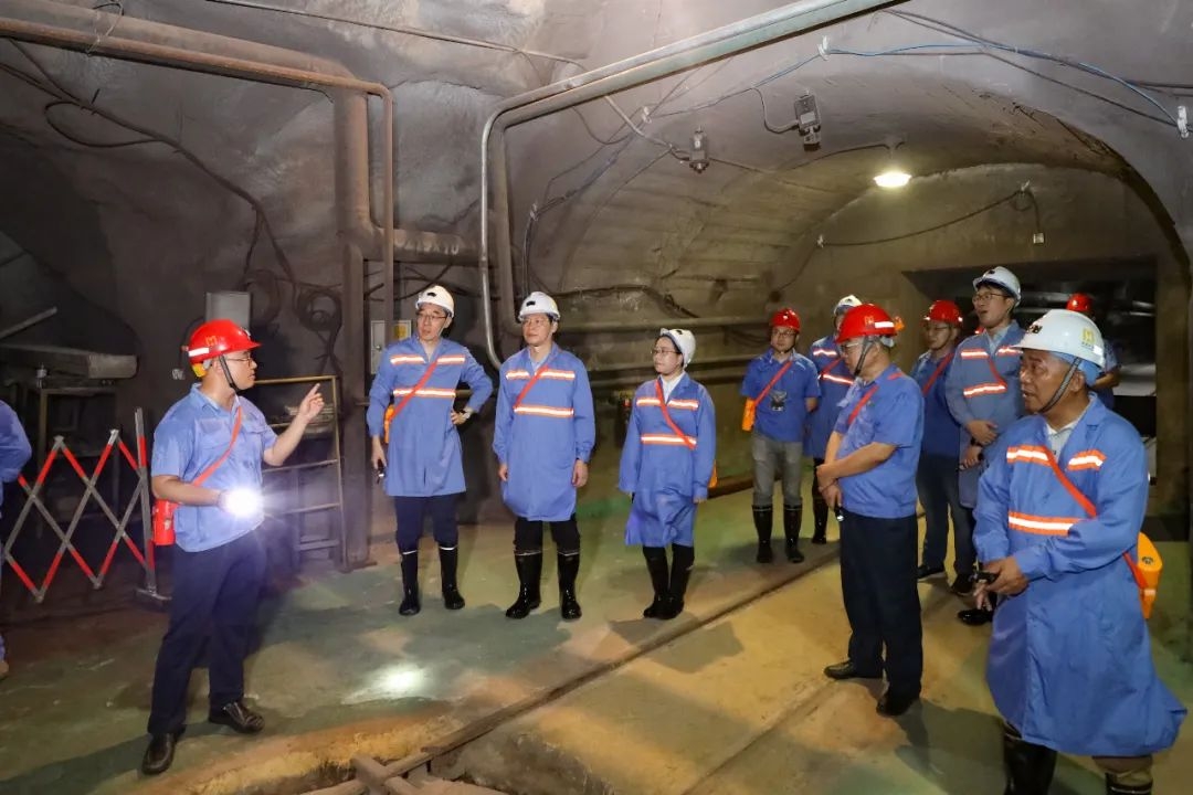 昌江县委书记陈儒茂到问鼎娱乐调研