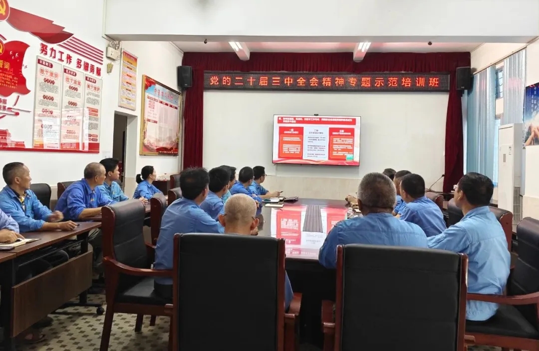 问鼎娱乐组织寓目学习贯彻党的二十届三中全会精神专题树模班课堂视频直播