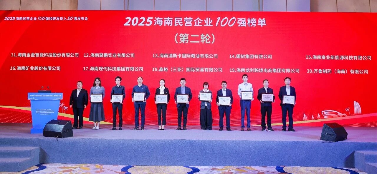 问鼎娱乐位列2025海南民营企业100强第16位